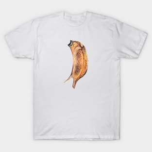 Banana cat drawing T-Shirt